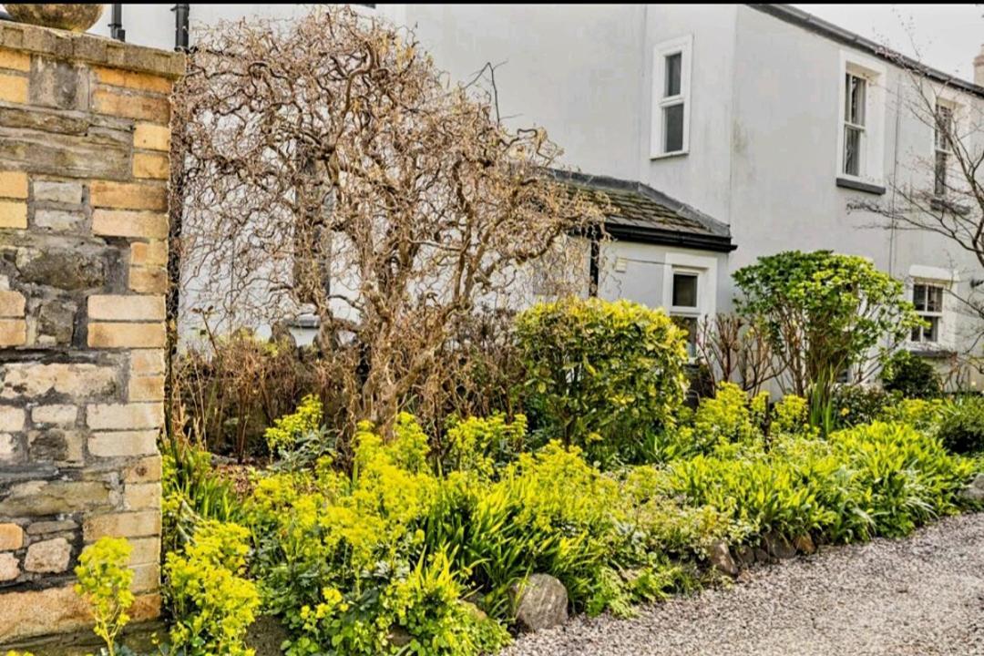 The Mews - Less Than 1Km To City Centre - Stadium - Castle - 10 Min Walk Cardiff Exteriör bild